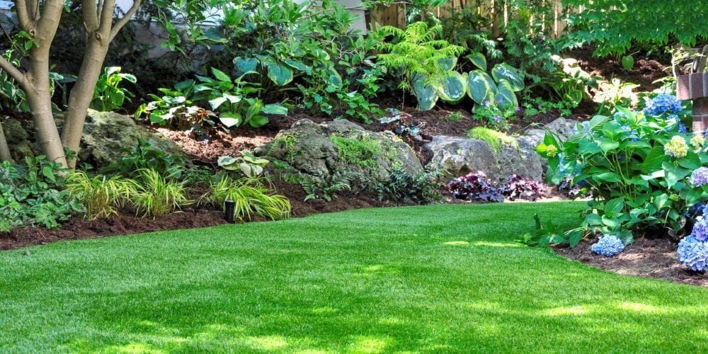 Lush manicured green lawn bordered by a rock garden bed with mulch, hostas, and blooming blue hydrangeas.